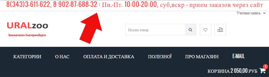 пример указания режима работы Интернет-магазина