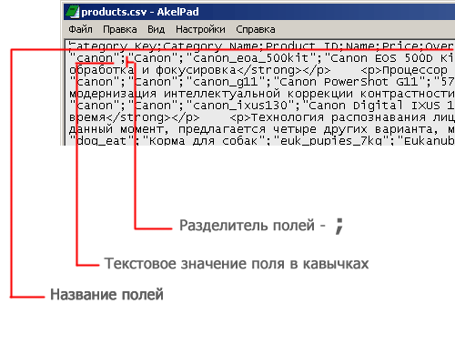 Поля csv файла в Интернет магазине 